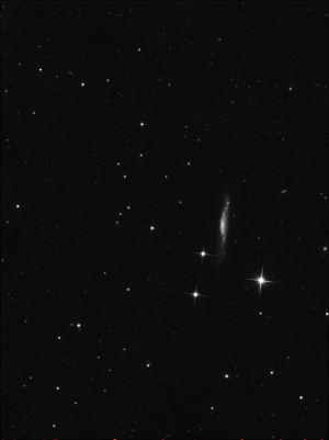 NGC 3079 - NGC 3079