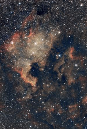 NGC 7000 - Nébuleuse Amérique du Nord