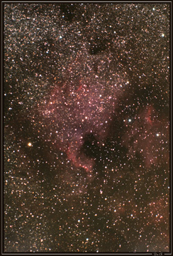 NGC 7000 - Nébuleuse du Nord de l'Amérique