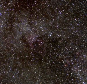 NGC 7000 - Nébuleuse North America