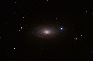Galaxie du Tournesol