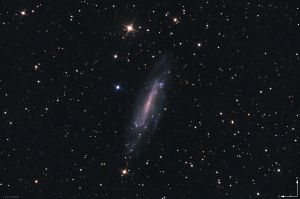 NGC 4236 - NGC 4236