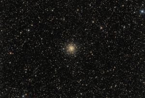 M56