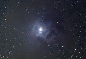 NGC 7023 - Nébuleuse de l'Iris