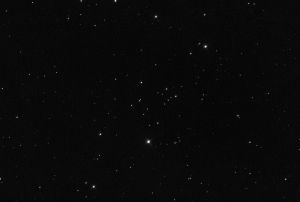 NGC 3231 - NGC 3231