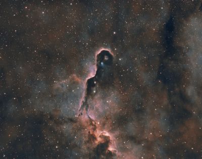 Nébuleuse de la trompe de l'éléphant