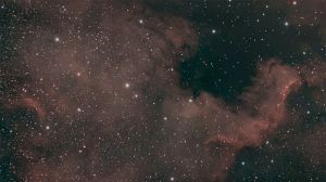 NGC 7000 - Amérique du Nord