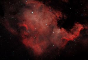 NGC 7000 - Nébuleuse de l'Amérique du Nord