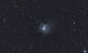 NGC 7023 - Nébuleuse de l'Iris
