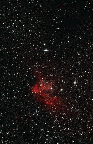 NGC 7380 - Le sorcier