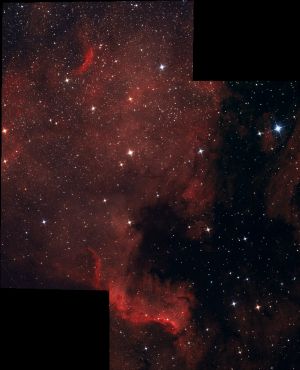 NGC 7000 - NORTH AMERICA