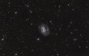 NGC 4395 - NGC 4395