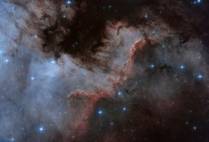 NGC 7000 - Nébuleuse de l'Amérique du Nord