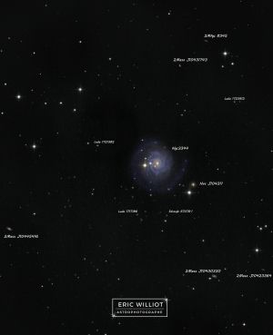 NGC 3344 - NGC 3344