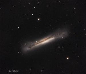 NGC 3628 - hamburger
