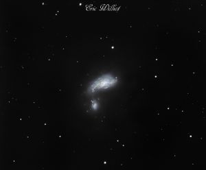 NGC 4490 - Galaxie du Cocon
