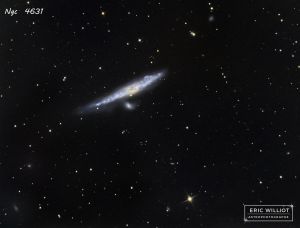 NGC 4631 - Galaxie de la Baleine