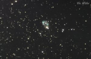 NGC 7008 - N&eacute;buleuse du F&oelig;tus