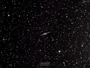 NGC 891 - NGC 891