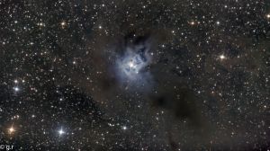 NGC 7023 - Nébuleuse de l'Iris