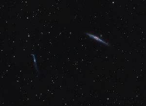 NGC 4631 - Galaxie de la Baleine et galaxie