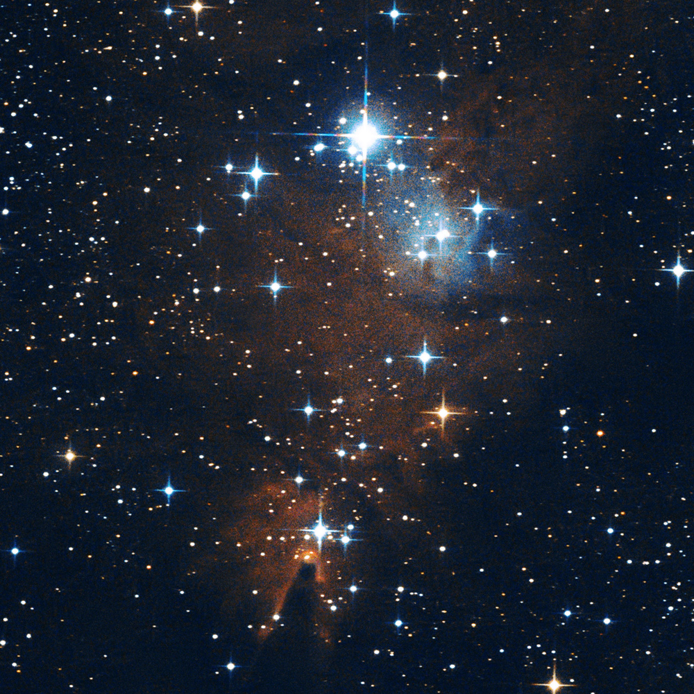 NGC2264