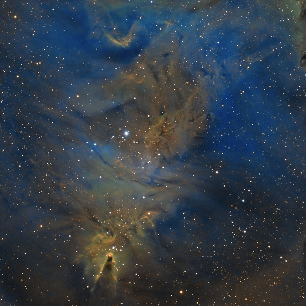 NGC2264