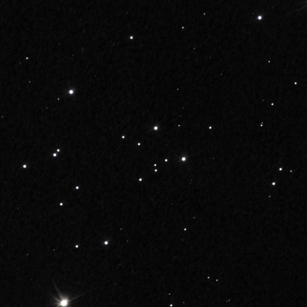 NGC3231